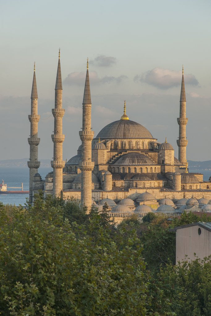 Detail of Sultan Ahmet camii, the Blue Mosque by Anonymous