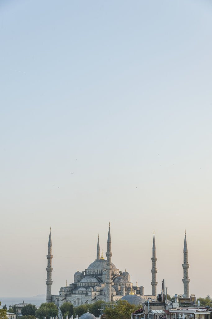 Detail of Sultan Ahmet camii, the Blue Mosque by Corbis