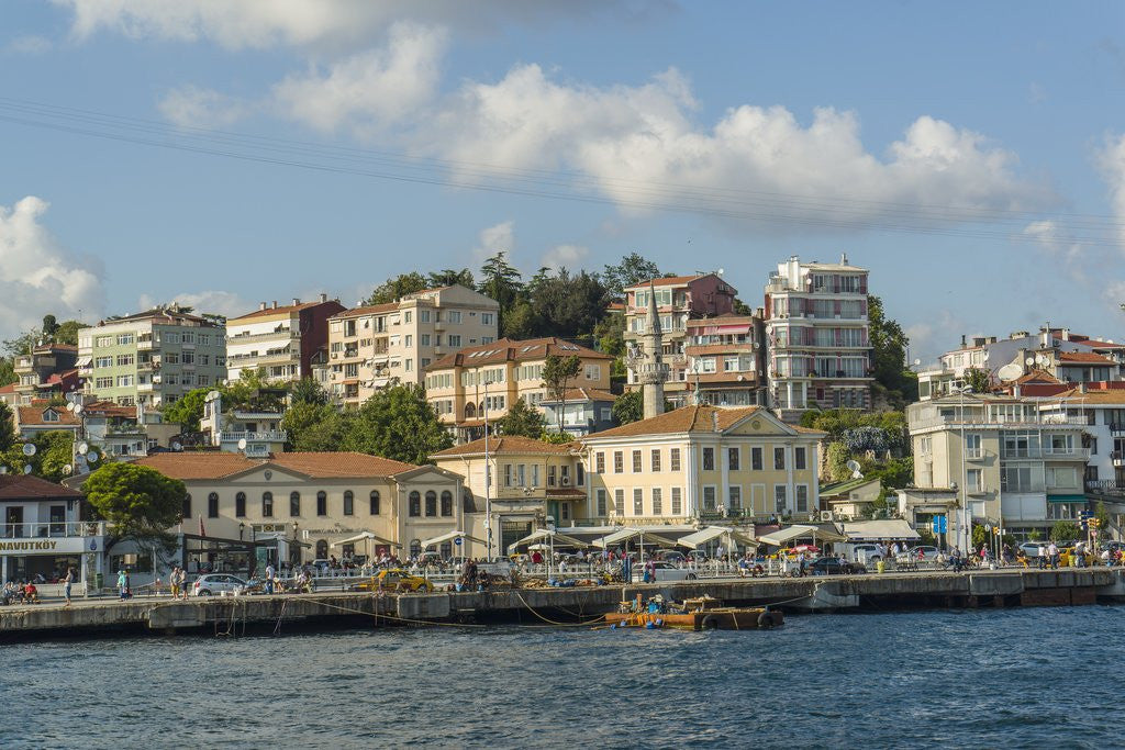 Detail of Beautiful houses along Bosporus by Anonymous