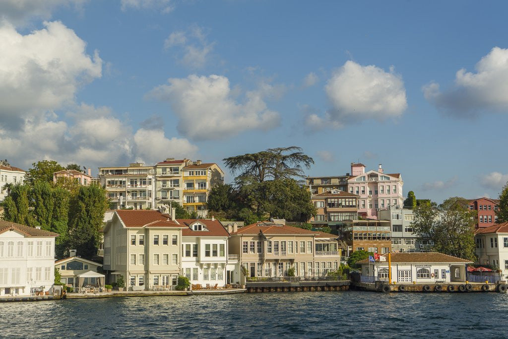 Detail of Beautiful houses along Bosporus by Anonymous
