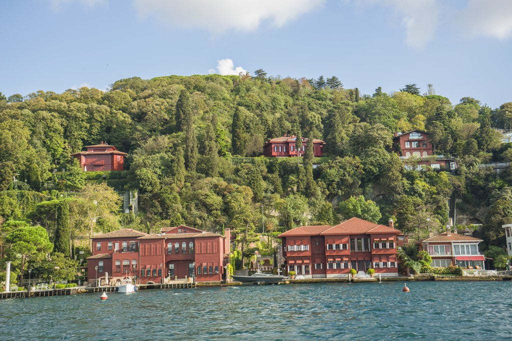 Detail of Beautiful houses along Bosporus by Anonymous