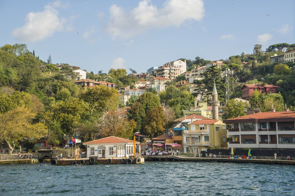 Detail of Beautiful houses along Bosporus by Anonymous