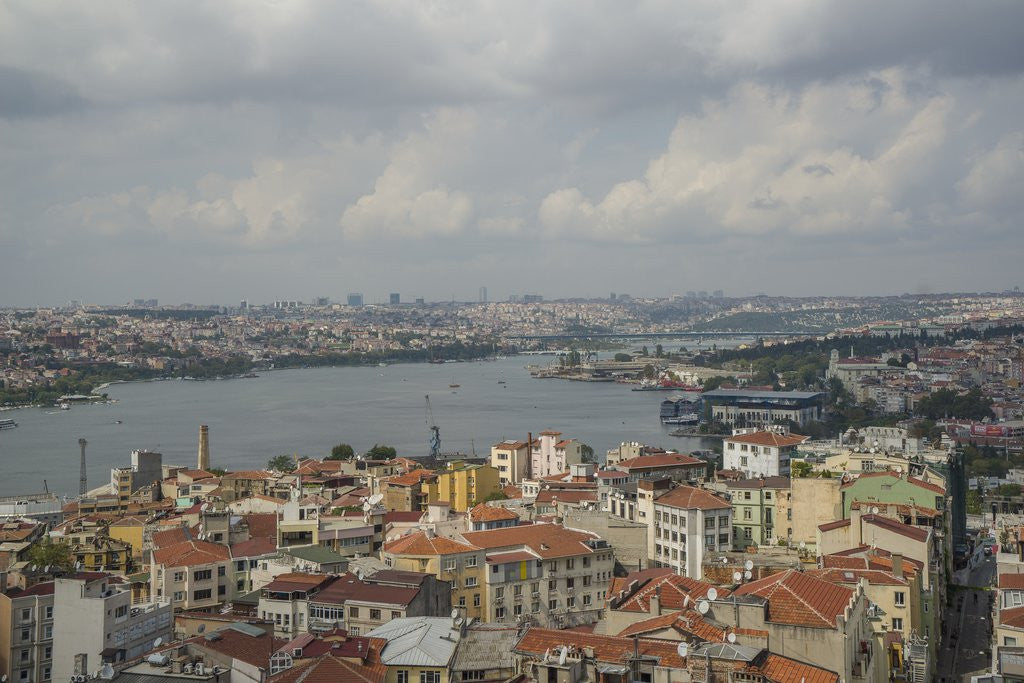 Detail of Panoramic view from Galata Tower by Anonymous