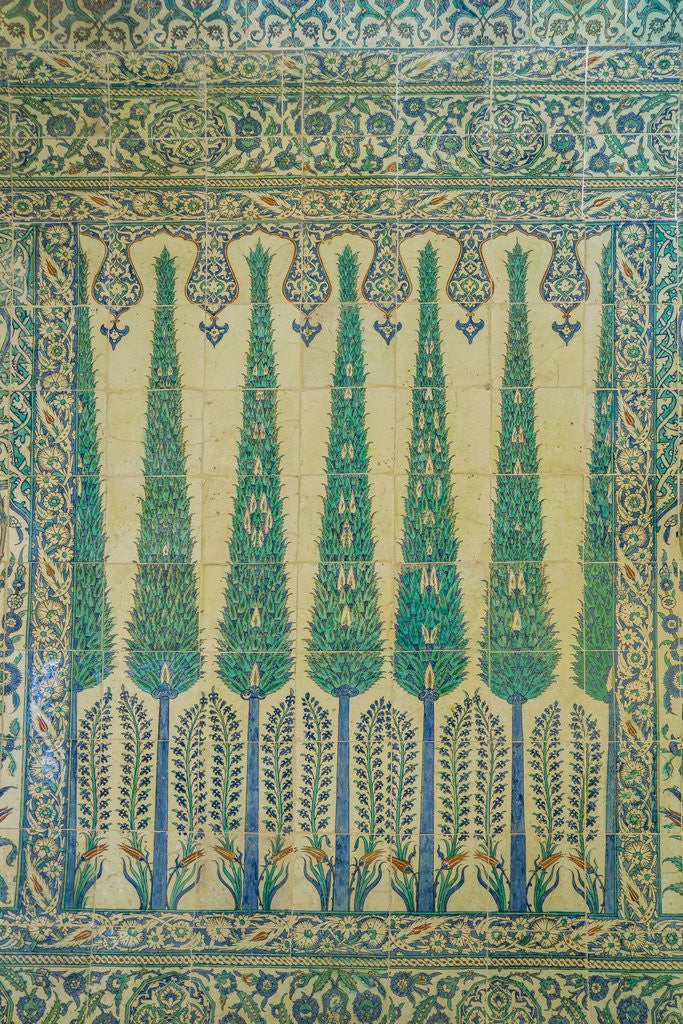 Detail of Topkapi Palace, the Harem by Anonymous