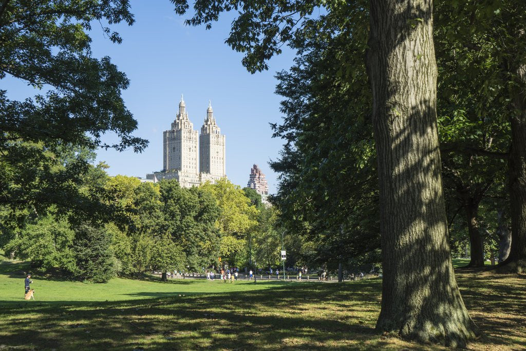 Detail of Central Park, New York City by Anonymous