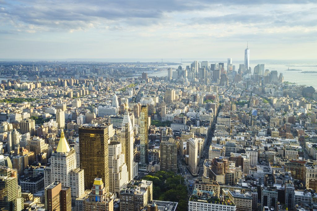 Detail of Manhattan skyline from above, New York City by Anonymous