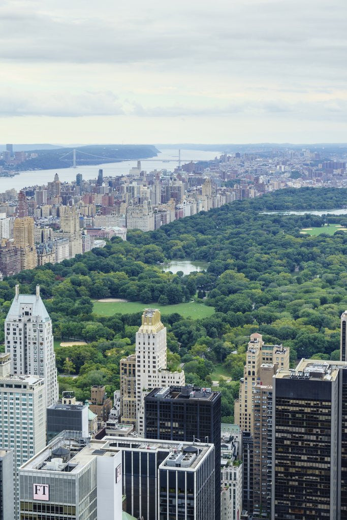 Detail of Central Park from above, New York City by Anonymous