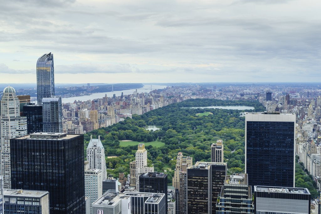 Detail of Central Park from above, New York City by Anonymous