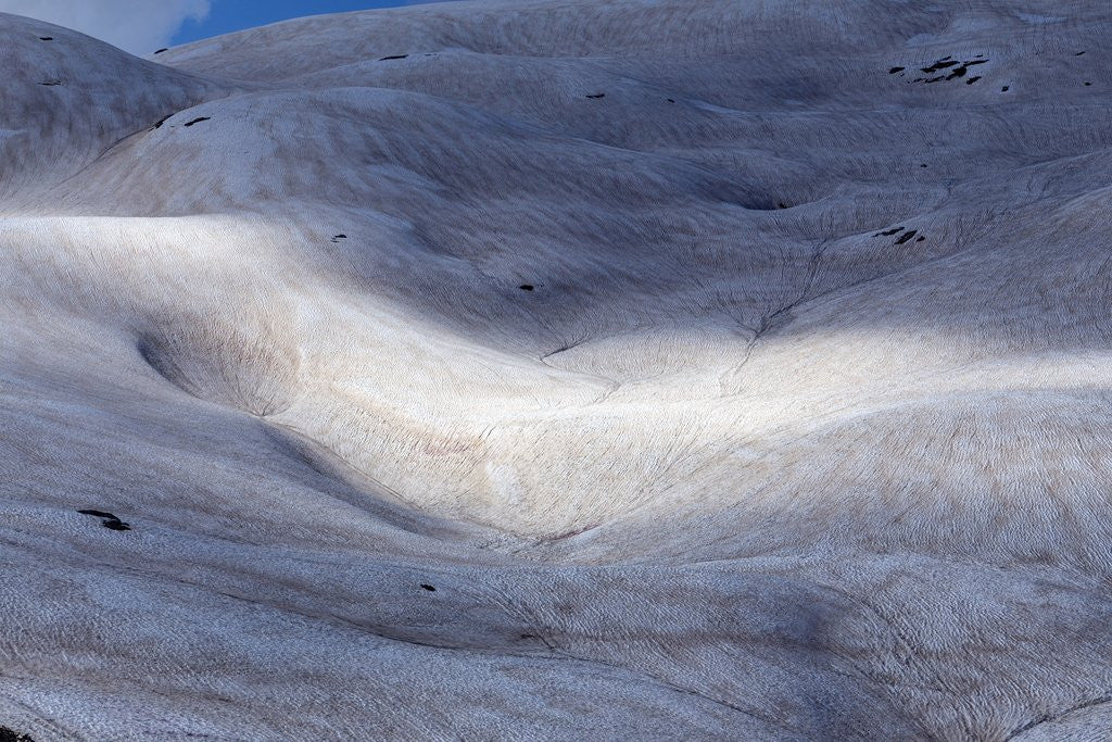Detail of Pale di San Martino. Dolomites. Trekking palaronda soft trek. On the way to the Pradidali pass by Anonymous