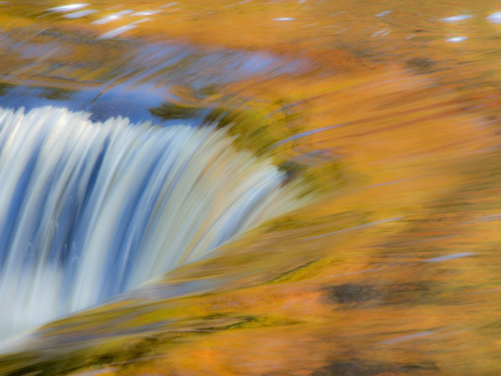 Detail of Trees reflect in cascade above Bond Falls on the Middle Fork of the Ontonagon river near Paulding in by Anonymous