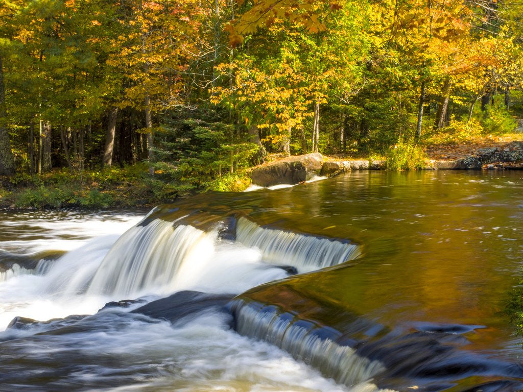 Detail of Trees reflect in cascade above Bond Falls on the Middle Fork of the Ontonagon river near Paulding in by Anonymous