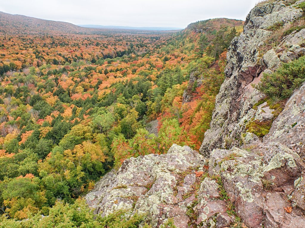 Detail of A view from summit peak of Lake of the Clouds looking into the Big Carp River Valley in autumn at Po by Anonymous