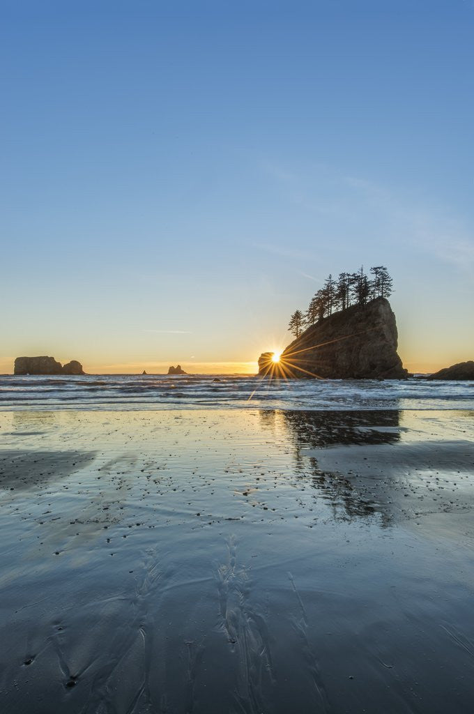 Detail of Second Beach Sunset by Anonymous