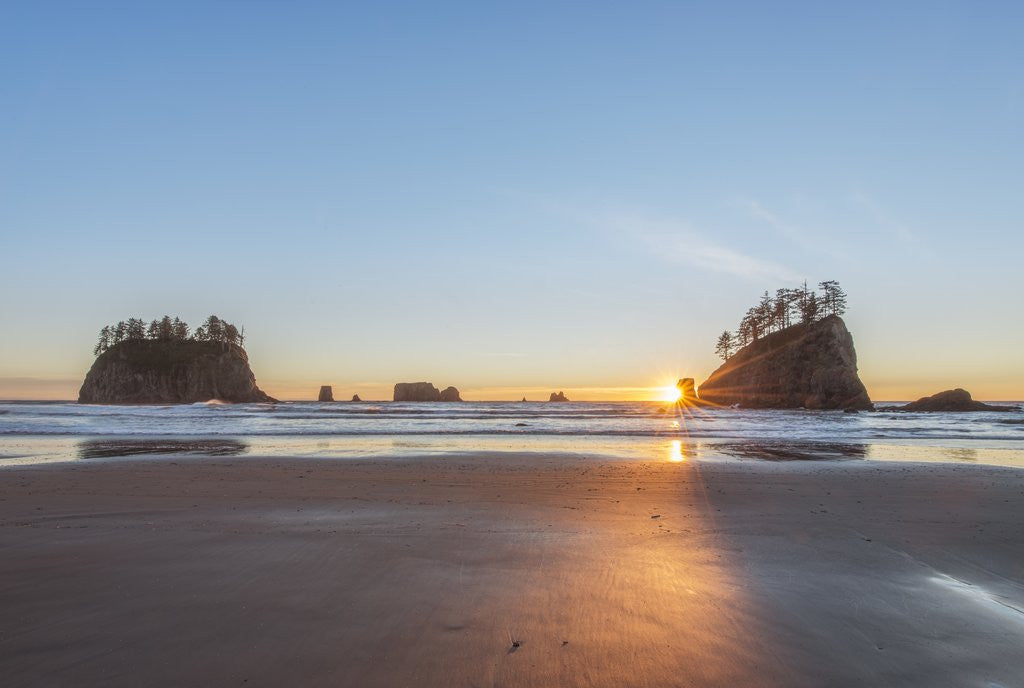 Detail of Second Beach Sunset by Anonymous