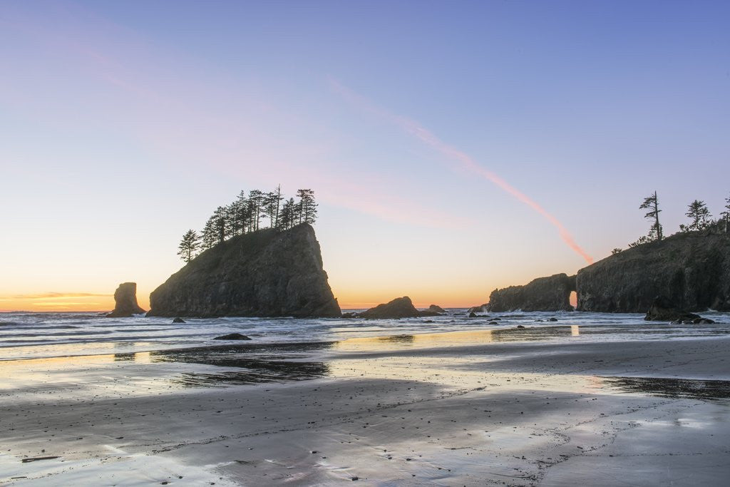 Detail of Second Beach Sunset by Anonymous