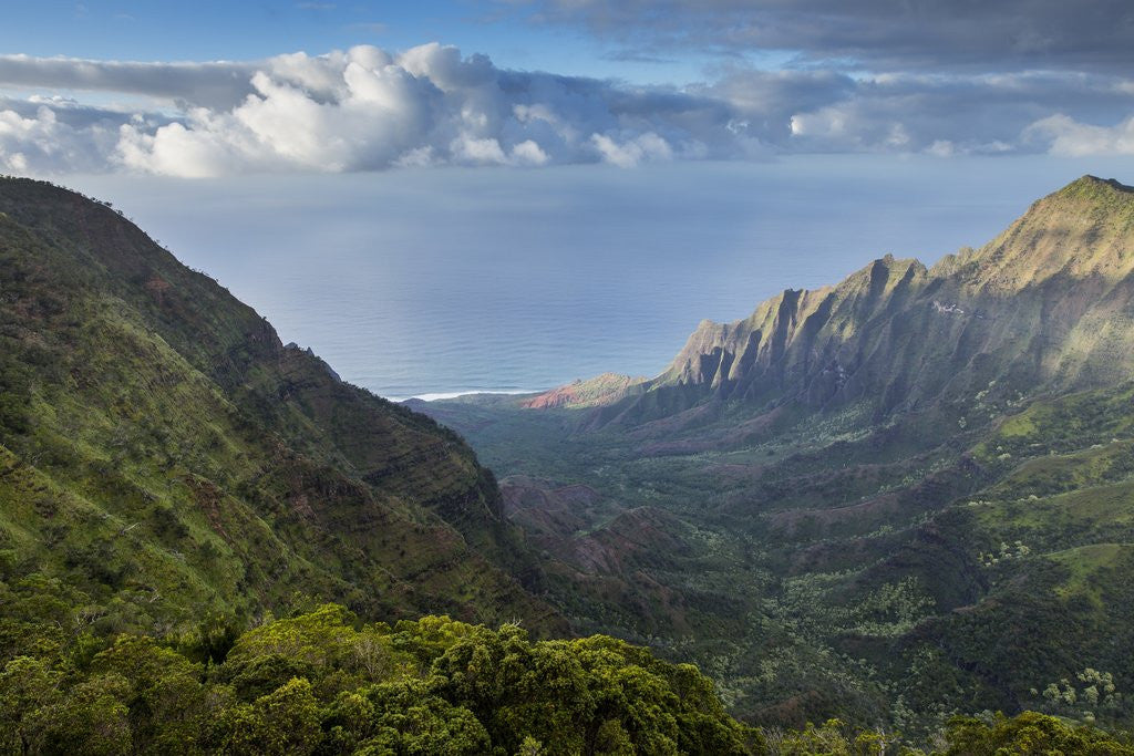 Detail of Na Pali Coast, Kauai, Hawaii by Anonymous