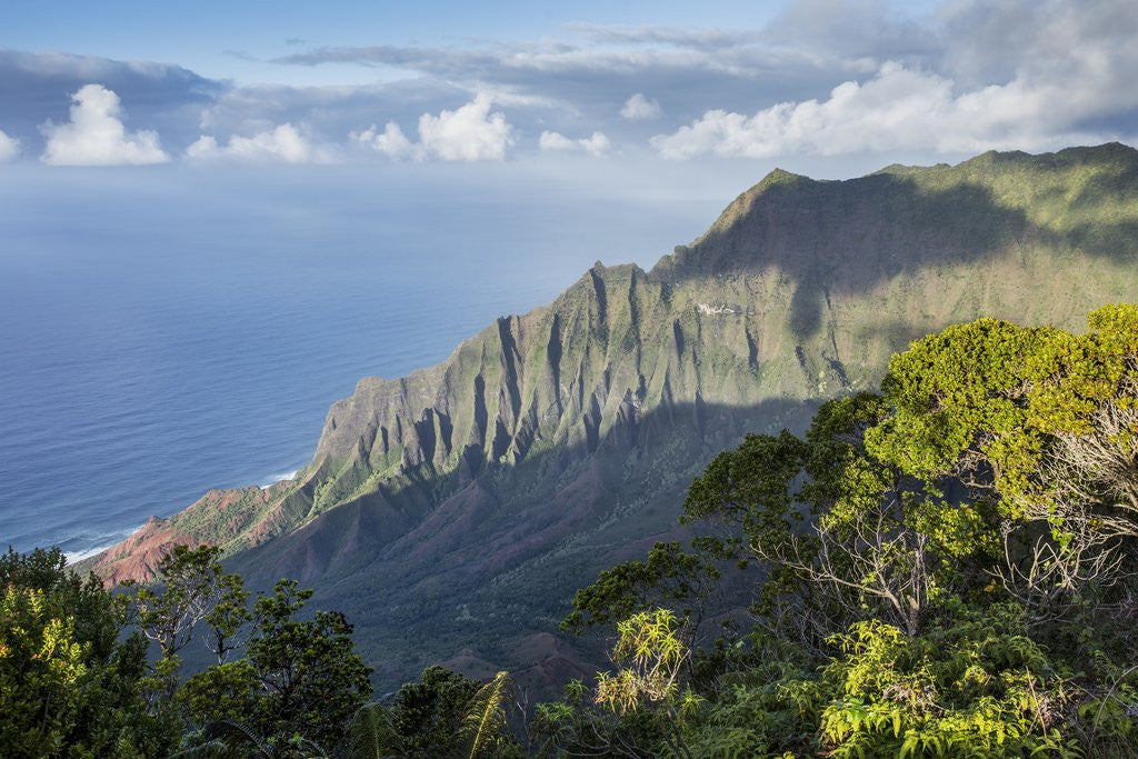 Detail of Na Pali Coast, Kauai, Hawaii by Anonymous