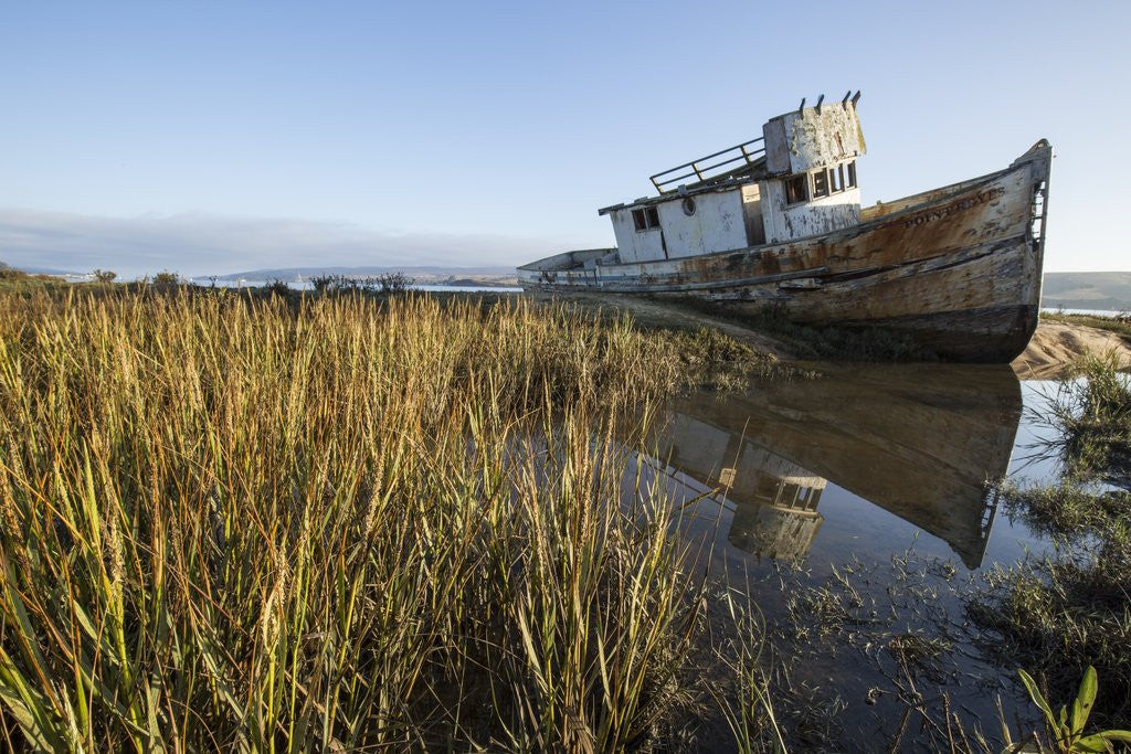 Detail of Point Reyes Shipwreck, Inverness, California by Corbis