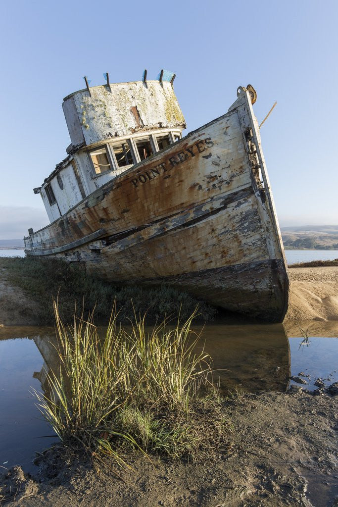 Detail of Point Reyes Shipwreck, Inverness, California by Anonymous