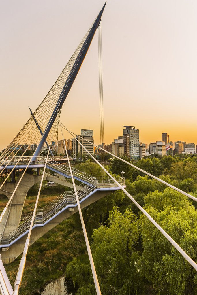 Detail of Yeouido, the Saetgang Ecological Park, a wild wetland among the skyscrapers, the Saetgang Bridge (footbridge) by Anonymous