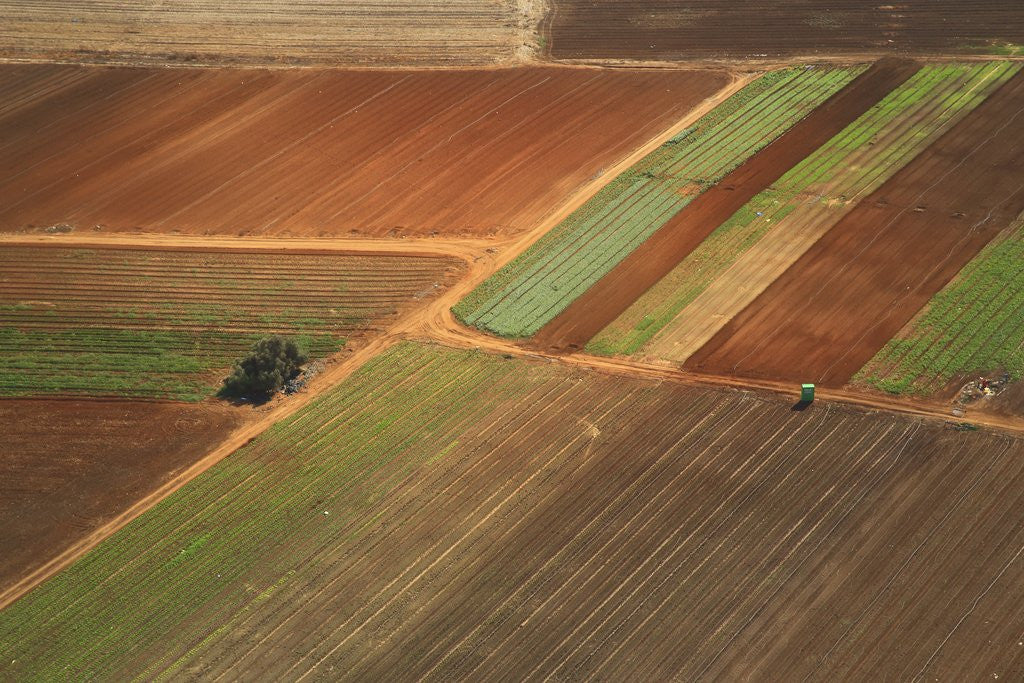 Detail of Landscape from above between Tel Aviv and Jerusalem. by Anonymous