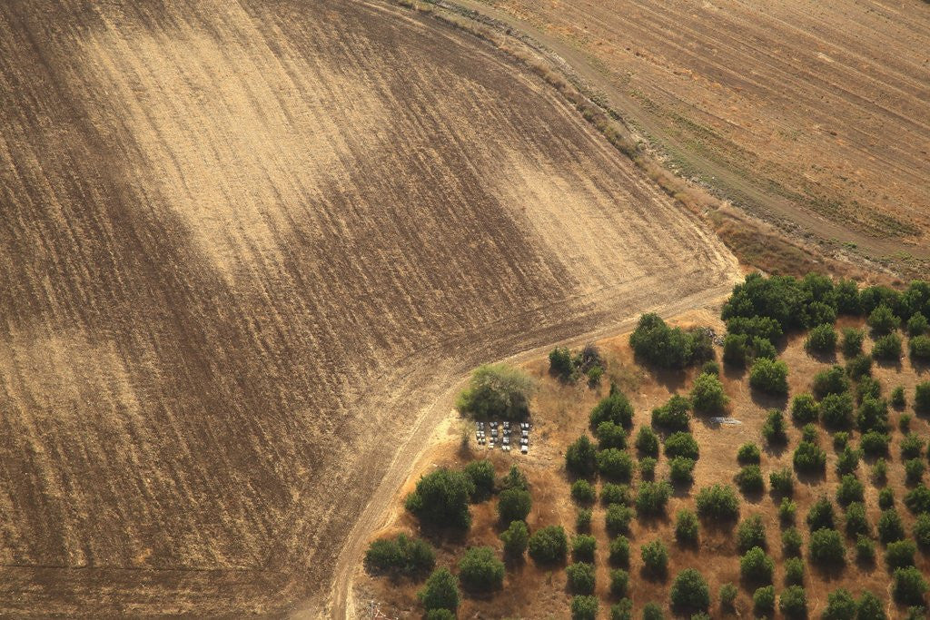 Detail of Landscape from above between Tel Aviv and Jerusalem. by Anonymous