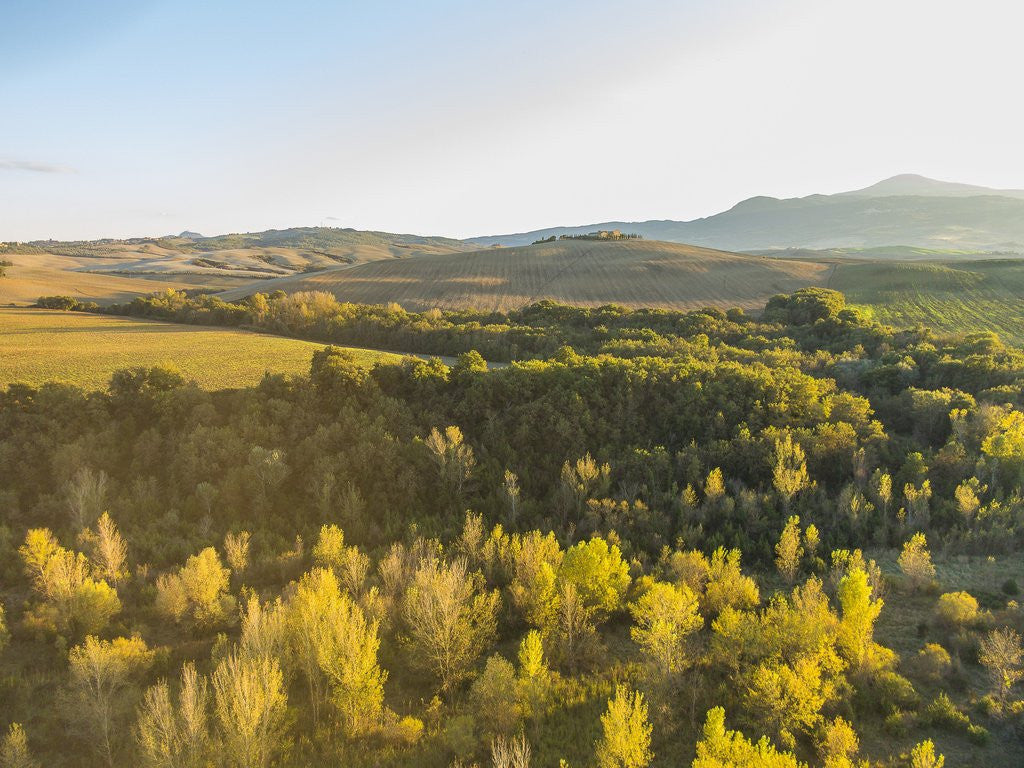 Detail of Orcia river near Pienza, air view by drone by Anonymous