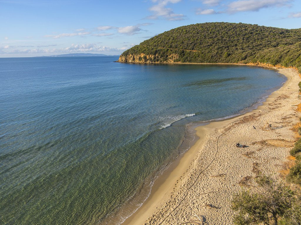 Detail of Cala Violina, drone air view by Anonymous