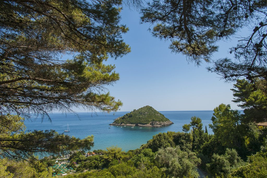 Detail of Isolotto di Porto Ercole by Anonymous