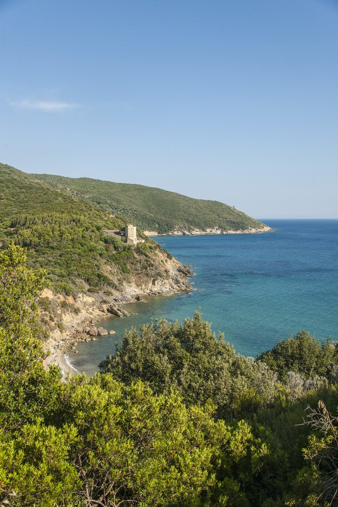 Detail of Le Cannelle Beach by Anonymous