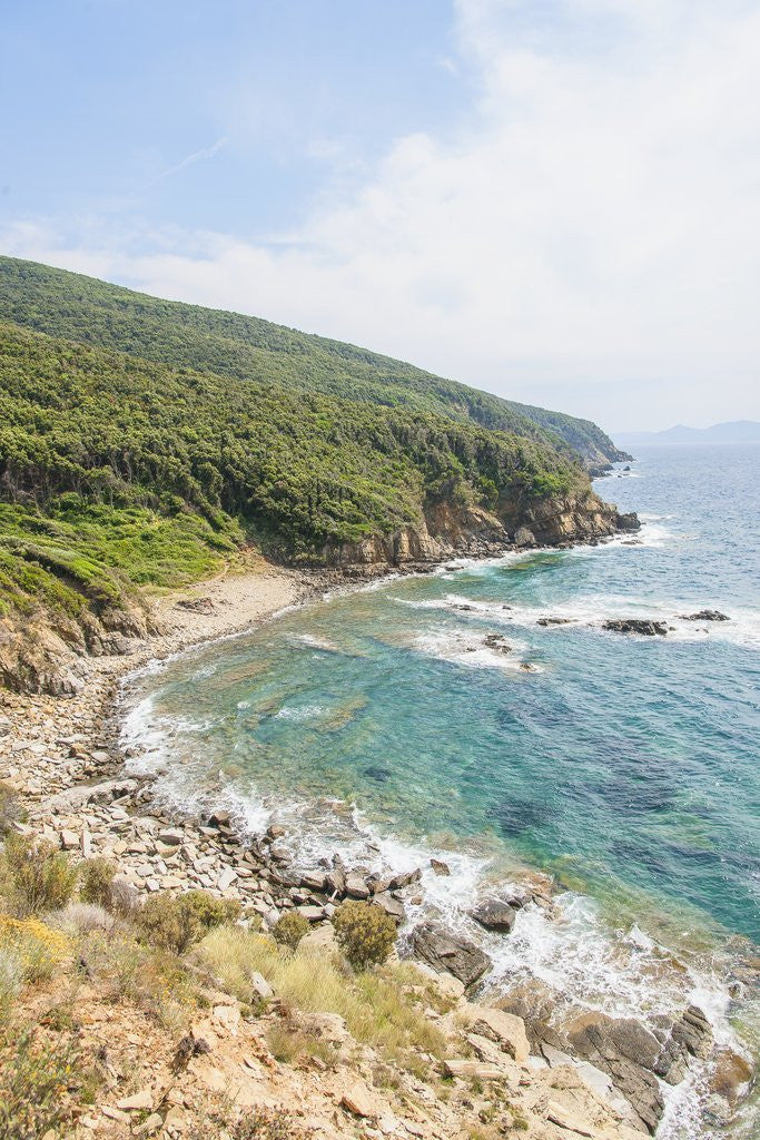 Detail of Cala san Quirico, near Buca delle Fate by Anonymous