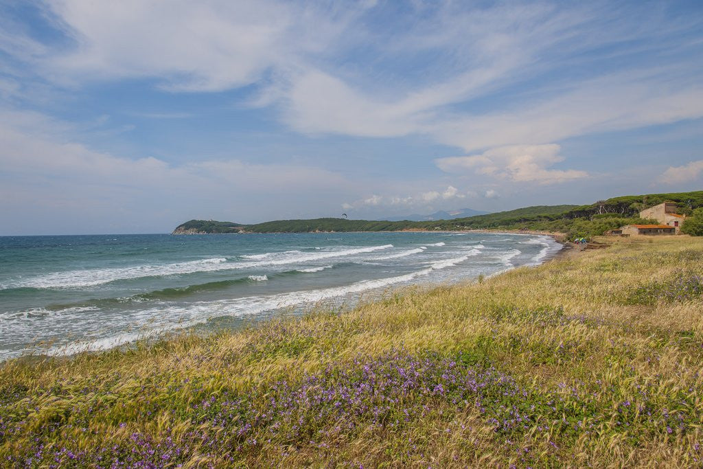 Detail of Baratti gulf by Anonymous