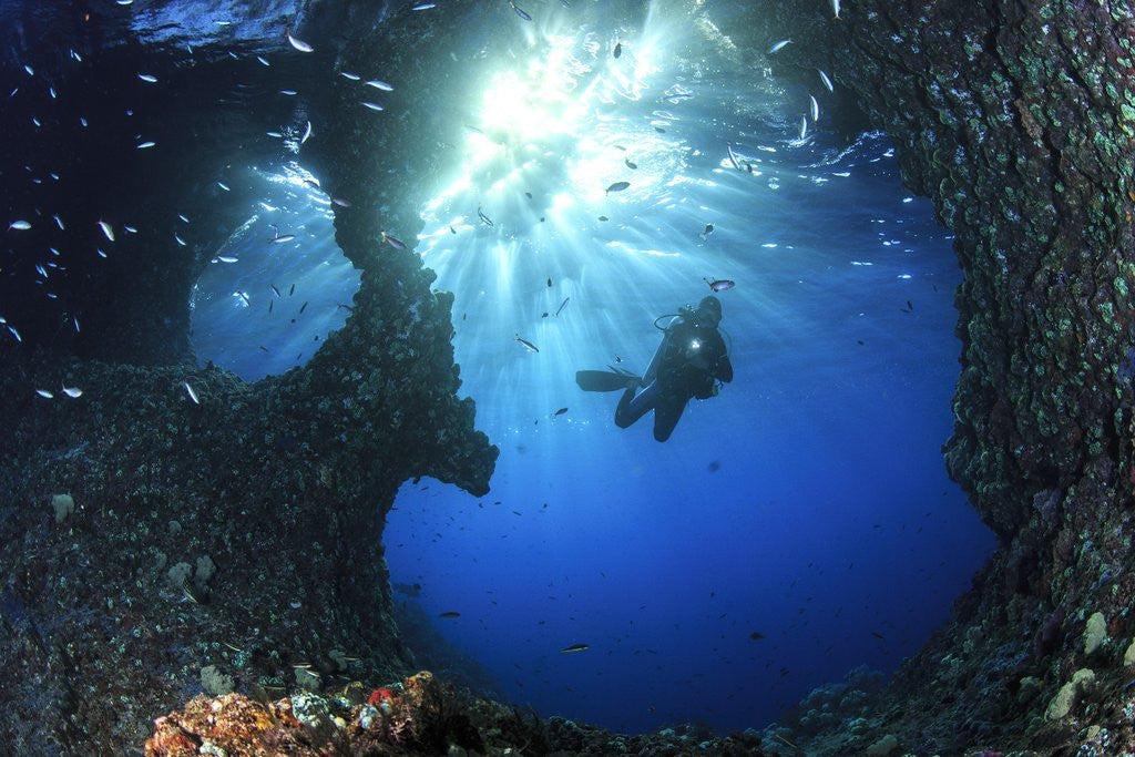 Detail of scuba diver swimming through an arch by Anonymous