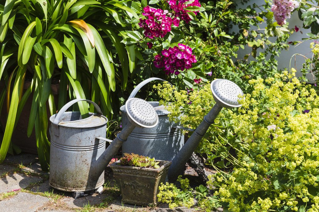 Detail of Gardening by Anonymous