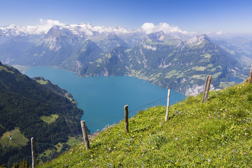 Detail of Lake Lucerne by Anonymous