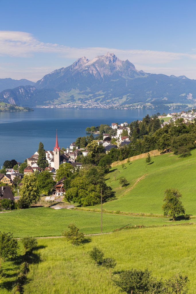 Detail of Lake Lucerne by Anonymous