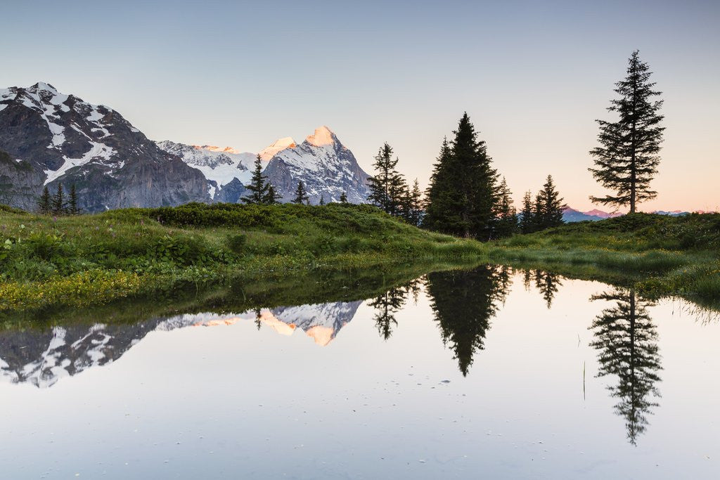 Detail of Mount Eiger at sunrise by Anonymous