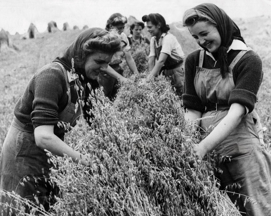 Detail of Bringing in the harvest by Associated Newspapers