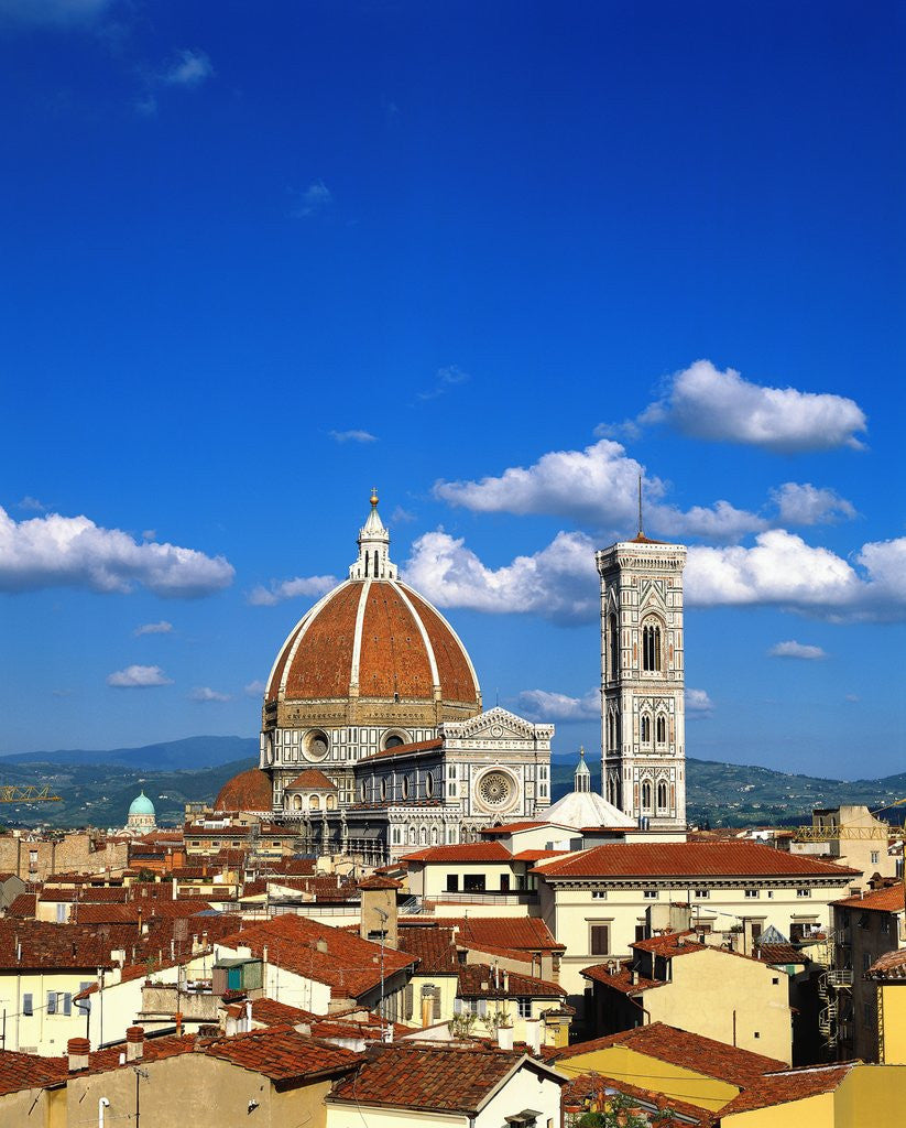 Detail of Santa Maria del Fiore in Florence by Anonymous