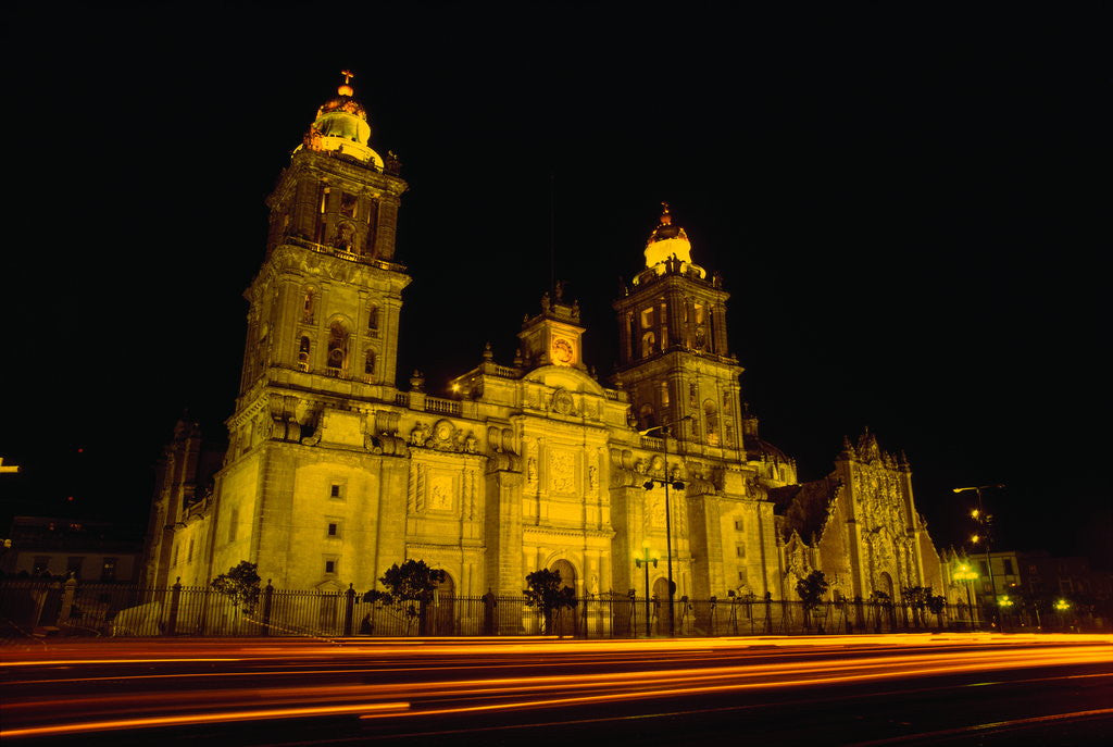 Detail of Cathedral of Mexico City by Anonymous