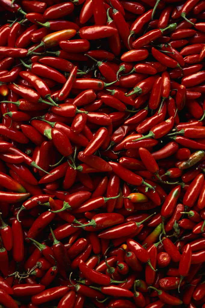 Detail of Abundance of Red Chilies by Corbis