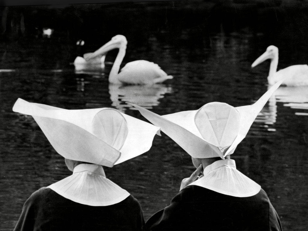 Detail of Nuns and pelicans in St James's Park by Associated Newspapers