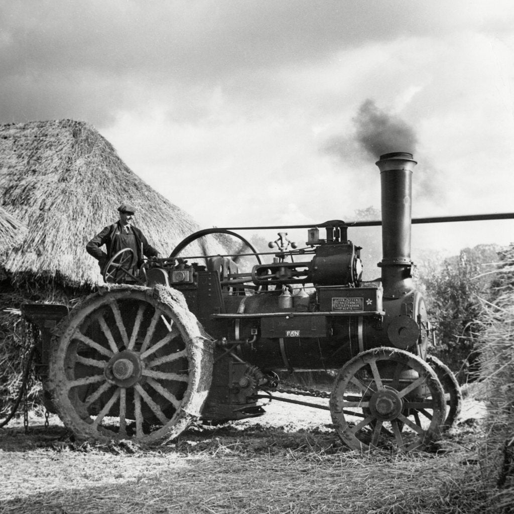 Detail of Traction engine on use on a farm by Associated Newspapers