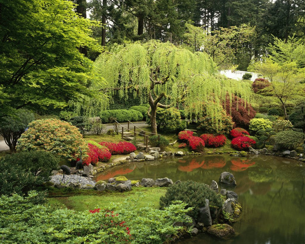Detail of Japanese Garden Pond by Corbis