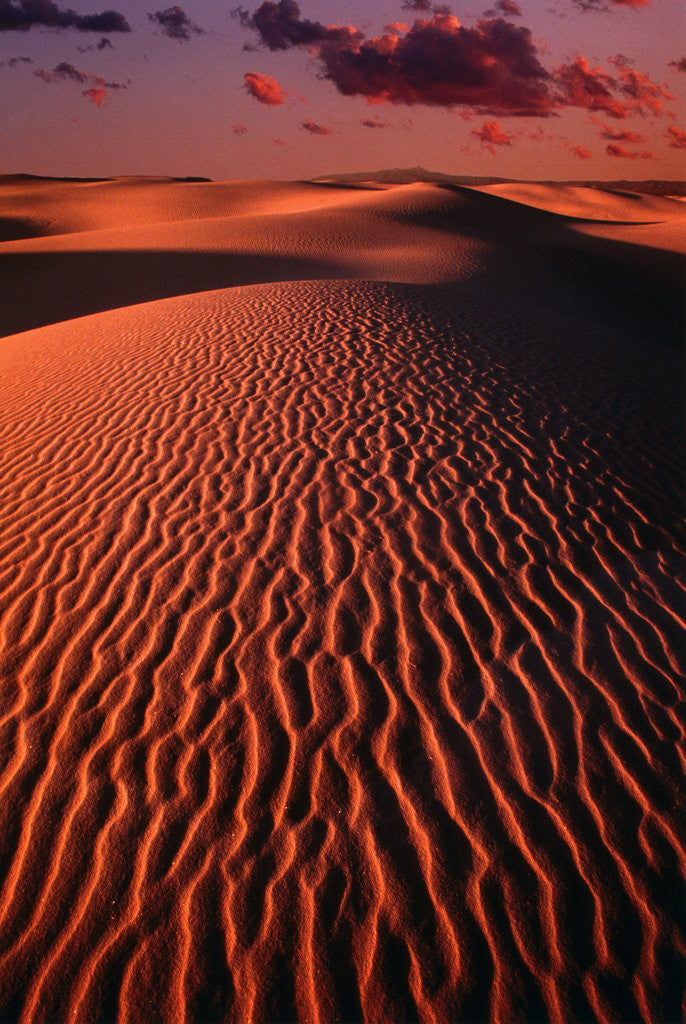 Detail of White Sands National Monument by Anonymous