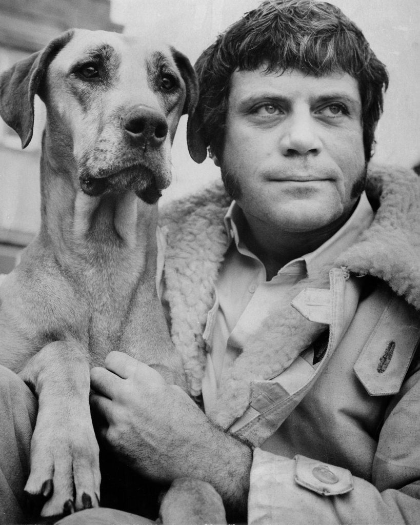Detail of Oliver Reed, actor, with Tara the Great Dane by Associated Newspapers