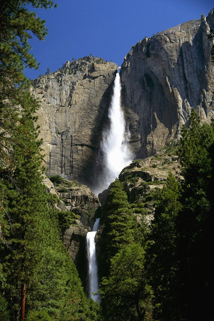 Detail of Yosemite Falls by Anonymous