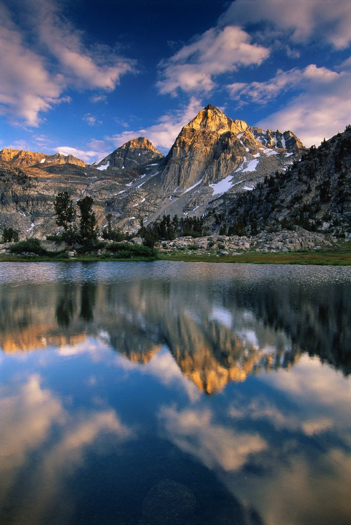 Detail of Painted Lady in Kings Canyon National Park by Anonymous