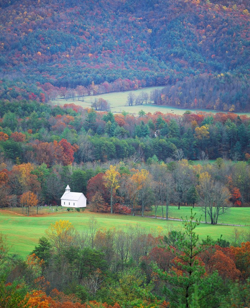 Detail of Rural Setting in Great Smoky Mountains by Anonymous