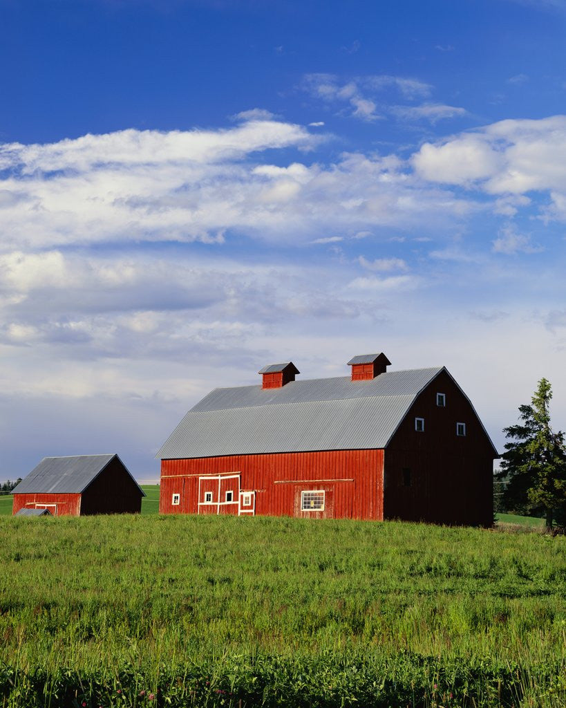 Detail of Old Red Barn in Field by Anonymous